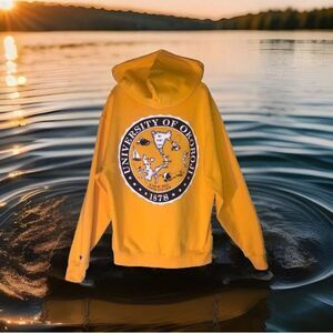 Y2K Champion Iowa University of Okojobi  Logo ,Hooded Sweatshirt Yellow M